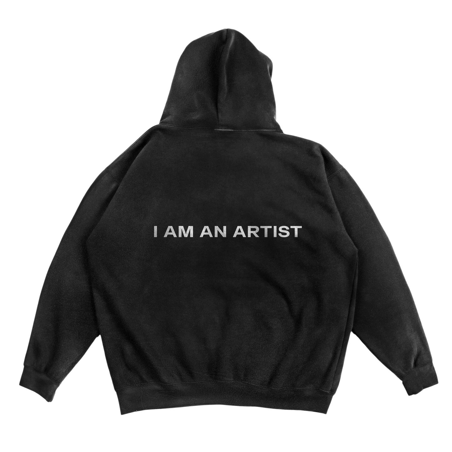 Artists are delusional Hoodie
